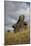 Moai Statue, Quarry On Easter Island, Chile, Remote Volcanic Island In Polynesia-Karine Aigner-Mounted Photographic Print