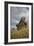 Moai Statue, Quarry On Easter Island, Chile, Remote Volcanic Island In Polynesia-Karine Aigner-Framed Photographic Print