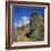 Moai Statues Carved from Crater Walls, Easter Island, Chile-Geoff Renner-Framed Photographic Print