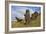 Moai Stone Statue Heads, At The Rapa Nui Quarry, Base Of Rano Raraku Volcano. Easter Island, Chile-Karine Aigner-Framed Photographic Print