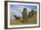 Moai Stone Statue Heads, At The Rapa Nui Quarry, Base Of Rano Raraku Volcano. Easter Island, Chile-Karine Aigner-Framed Photographic Print