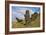 Moai Stone Statue Heads, At The Rapa Nui Quarry, Base Of Rano Raraku Volcano. Easter Island, Chile-Karine Aigner-Framed Photographic Print