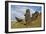 Moai Stone Statue Heads, At The Rapa Nui Quarry, Base Of Rano Raraku Volcano. Easter Island, Chile-Karine Aigner-Framed Photographic Print