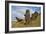 Moai Stone Statue Heads, At The Rapa Nui Quarry, Base Of Rano Raraku Volcano. Easter Island, Chile-Karine Aigner-Framed Photographic Print