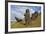 Moai Stone Statue Heads, At The Rapa Nui Quarry, Base Of Rano Raraku Volcano. Easter Island, Chile-Karine Aigner-Framed Photographic Print