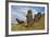 Moai Stone Statue Heads, At The Rapa Nui Quarry, Base Of Rano Raraku Volcano. Easter Island, Chile-Karine Aigner-Framed Photographic Print