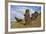 Moai Stone Statue Heads, At The Rapa Nui Quarry, Base Of Rano Raraku Volcano. Easter Island, Chile-Karine Aigner-Framed Photographic Print