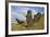 Moai Stone Statue Heads, At The Rapa Nui Quarry, Base Of Rano Raraku Volcano. Easter Island, Chile-Karine Aigner-Framed Photographic Print