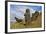 Moai Stone Statue Heads, At The Rapa Nui Quarry, Base Of Rano Raraku Volcano. Easter Island, Chile-Karine Aigner-Framed Photographic Print