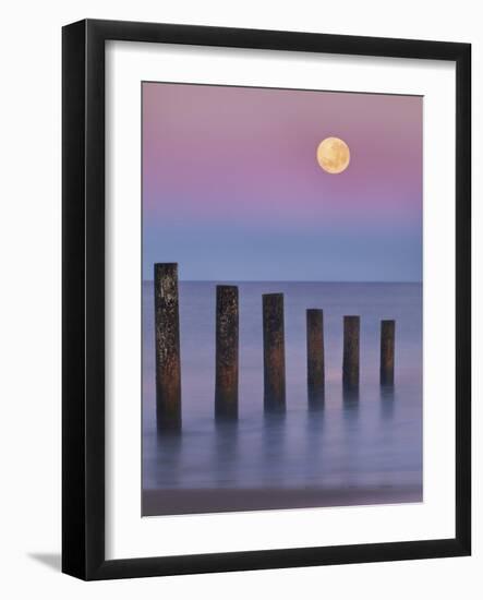 Moana Moon-Everlook Photography-Framed Photographic Print