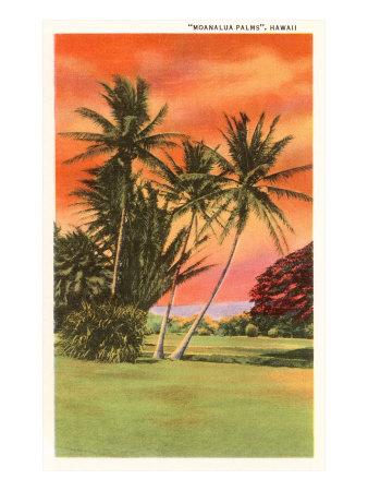 'Moanalua Palms, Hawaii' Art Print | Art.com