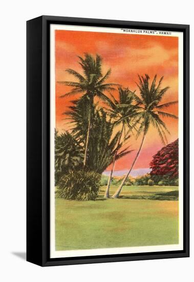Moanalua Palms, Hawaii-null-Framed Stretched Canvas