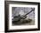 Mock Aggressors from Republic of Korea Marine Corps Prepare their Tank-null-Framed Photographic Print