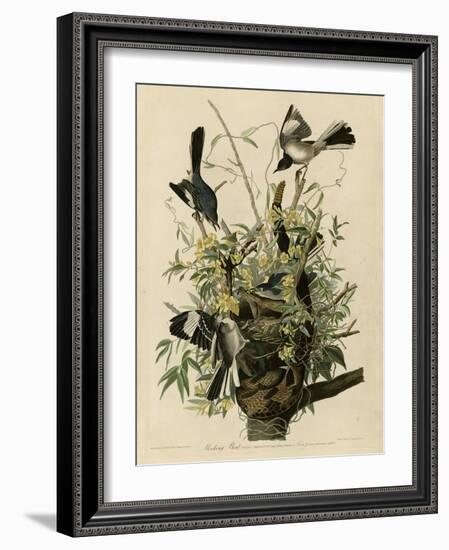 Mocking Bird-null-Framed Giclee Print