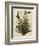 Mocking Bird-null-Framed Giclee Print