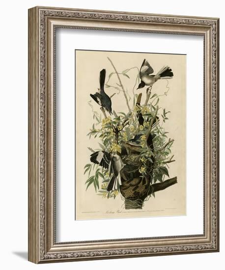 Mocking Bird-null-Framed Giclee Print