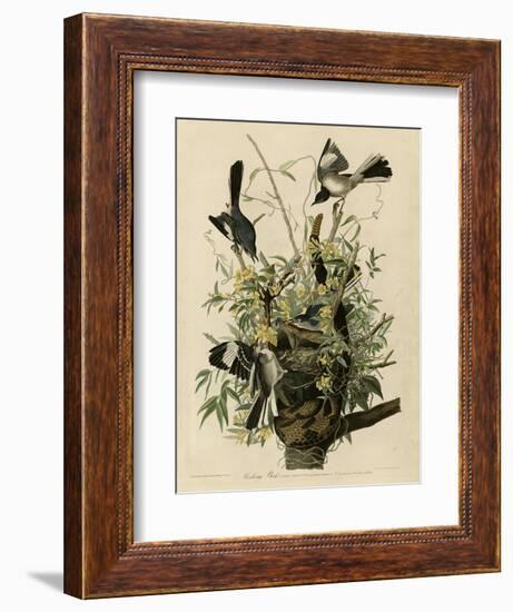 Mocking Bird-null-Framed Giclee Print