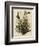 Mocking Bird-null-Framed Giclee Print