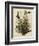 Mocking Bird-null-Framed Giclee Print