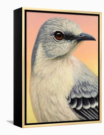 Mocking Bird-James W. Johnson-Framed Premier Image Canvas