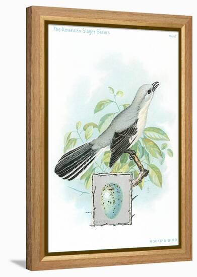 Mockingbird and Egg-null-Framed Stretched Canvas