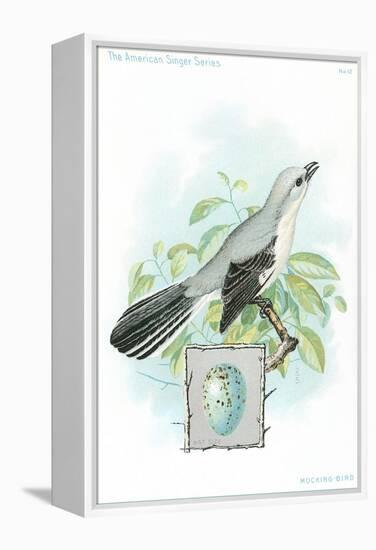 Mockingbird and Egg-null-Framed Stretched Canvas