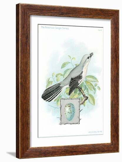 Mockingbird and Egg-null-Framed Art Print