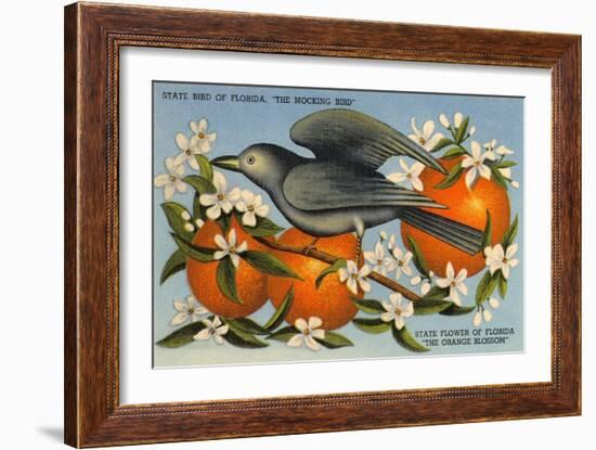 Mockingbird, Orange Blossoms, Florida-null-Framed Art Print