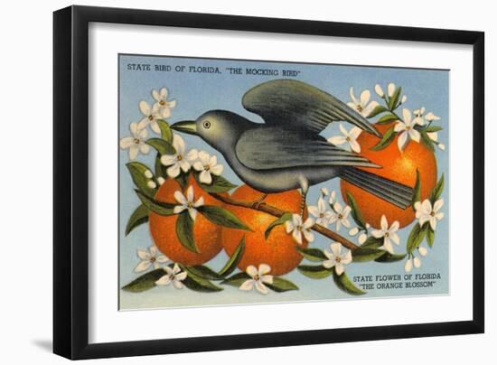 Mockingbird, Orange Blossoms, Florida-null-Framed Art Print