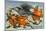 Mockingbird, Orange Blossoms, Florida-null-Mounted Art Print