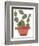 Mod Cactus VII-Rob Delamater-Framed Art Print