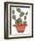 Mod Cactus VII-Rob Delamater-Framed Art Print