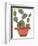 Mod Cactus VII-Rob Delamater-Framed Art Print