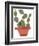 Mod Cactus VII-Rob Delamater-Framed Art Print