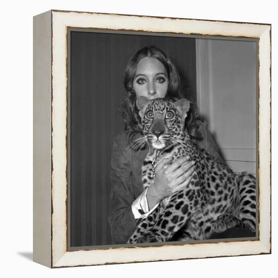 Model Antonia with Her Panther Tatch, 16 November 1967-null-Framed Stretched Canvas