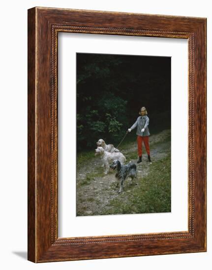 Model in Tom Brigance-Designed Outfit, Walks a Trio of Dogs Along a Path, New York, New York, 1954-Nina Leen-Framed Photographic Print