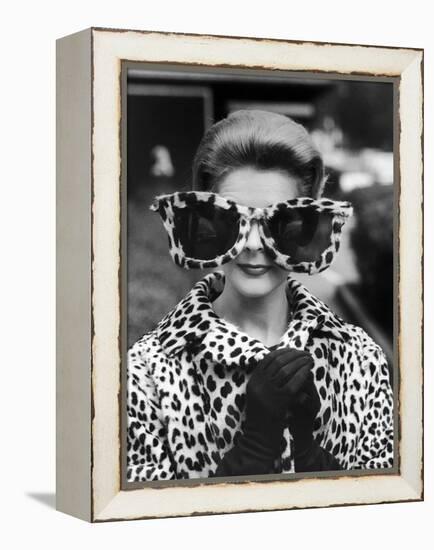 Model June Pickney Sporting Leopard Fur Coat and Huge Leopard Fur Rimmed Sunglasses-Stan Wayman-Framed Premier Image Canvas