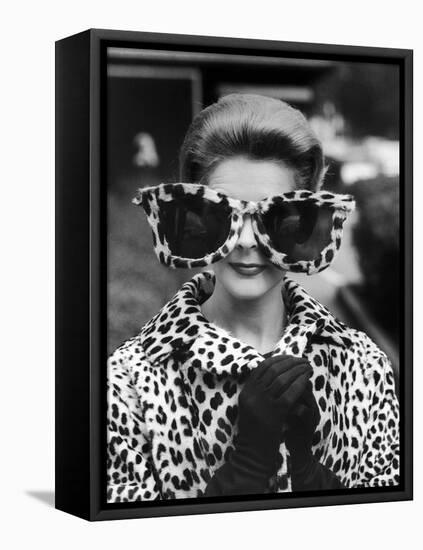 Model June Pickney Sporting Leopard Fur Coat and Huge Leopard Fur Rimmed Sunglasses-Stan Wayman-Framed Premier Image Canvas