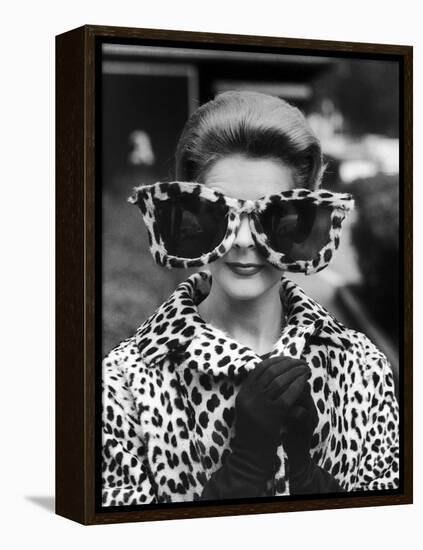 Model June Pickney Sporting Leopard Fur Coat and Huge Leopard Fur Rimmed Sunglasses-Stan Wayman-Framed Premier Image Canvas