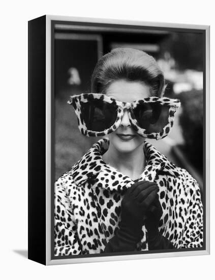 Model June Pickney Sporting Leopard Fur Coat and Huge Leopard Fur Rimmed Sunglasses-Stan Wayman-Framed Premier Image Canvas