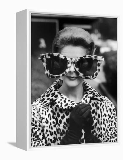 Model June Pickney Sporting Leopard Fur Coat and Huge Leopard Fur Rimmed Sunglasses-Stan Wayman-Framed Premier Image Canvas