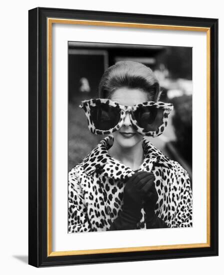 Model June Pickney Sporting Leopard Fur Coat and Huge Leopard Fur Rimmed Sunglasses-Stan Wayman-Framed Photographic Print