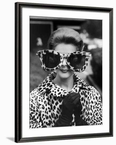 Model June Pickney Sporting Leopard Fur Coat and Huge Leopard Fur Rimmed Sunglasses-Stan Wayman-Framed Photographic Print