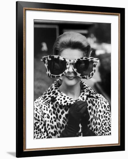 Model June Pickney Sporting Leopard Fur Coat and Huge Leopard Fur Rimmed Sunglasses-Stan Wayman-Framed Photographic Print