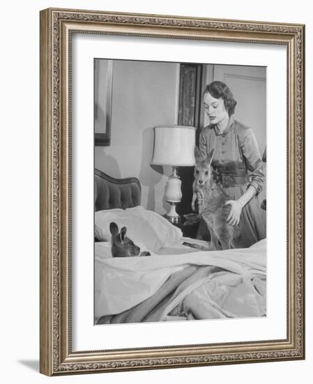 Model Loretta North with Small Kangaroos at the Australian Embassy Putting a Sick Kangaroo to Bed-null-Framed Photographic Print