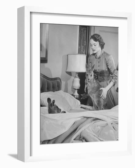 Model Loretta North with Small Kangaroos at the Australian Embassy Putting a Sick Kangaroo to Bed-null-Framed Photographic Print