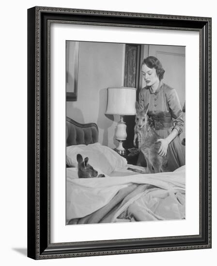 Model Loretta North with Small Kangaroos at the Australian Embassy Putting a Sick Kangaroo to Bed-null-Framed Photographic Print