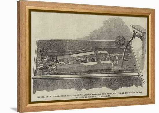 Model of a Fish-Ladder for Salmon to Ascend Milldams and Weirs-null-Framed Premier Image Canvas