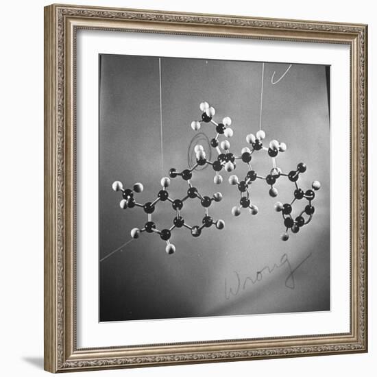 Model of N-Benzoyl-8-Carbethoxy-Quinotoxine Molecule Used in the Creation of Synthetic Quinine-null-Framed Photographic Print