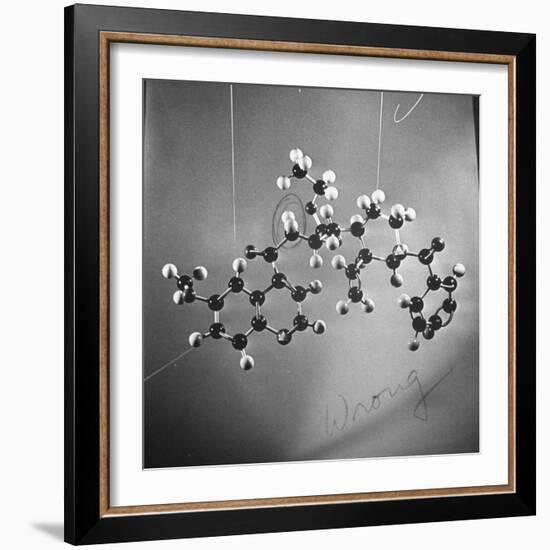 Model of N-Benzoyl-8-Carbethoxy-Quinotoxine Molecule Used in the Creation of Synthetic Quinine-null-Framed Photographic Print